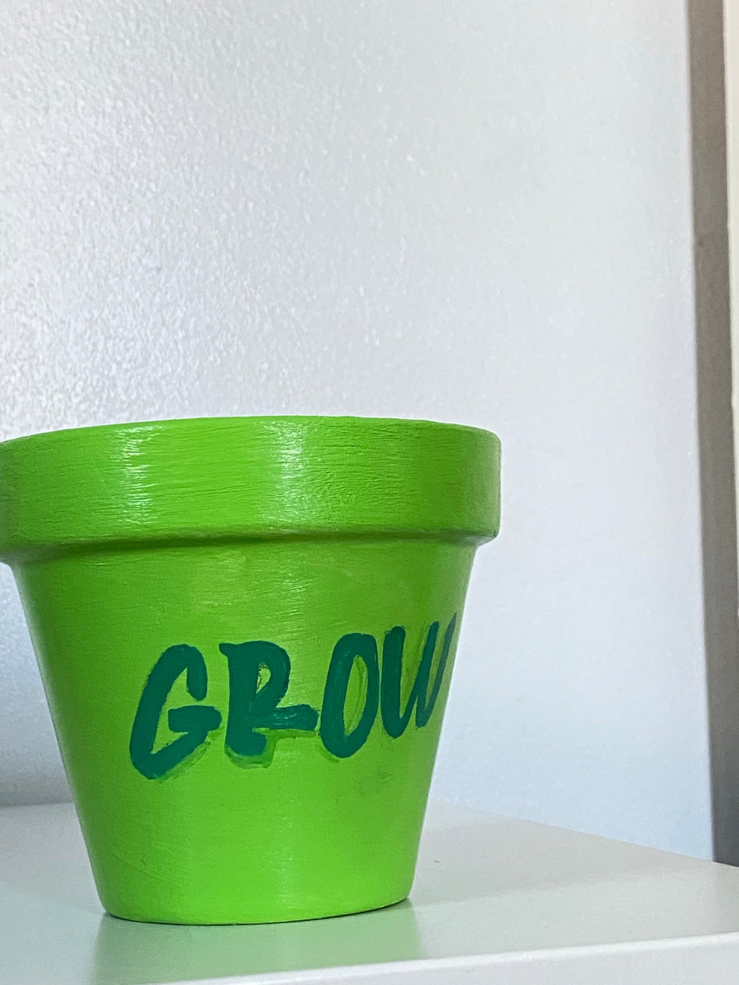 FLOWER POTS